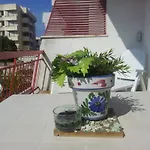 Palese 바리