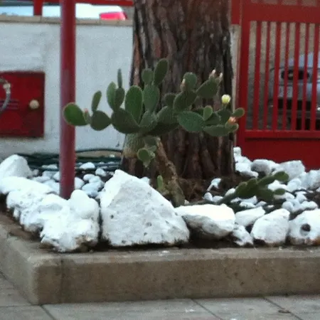 Palese Frühstückspension Bari