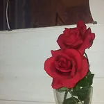 Bed & Breakfast Palese 2*