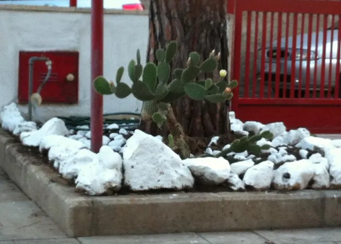 Palese Bed & Breakfast Bari