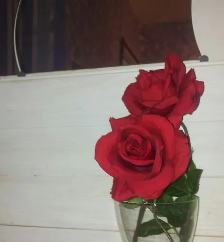 Bed & Breakfast Palese 2*